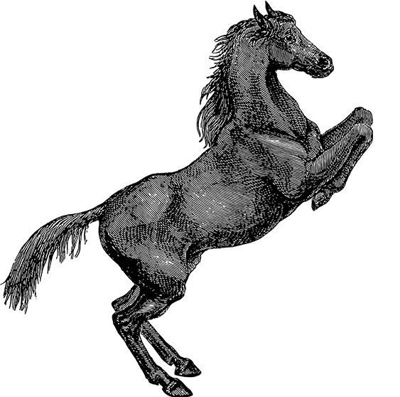 球探体育