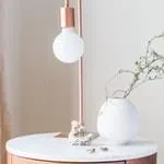 球探体育
